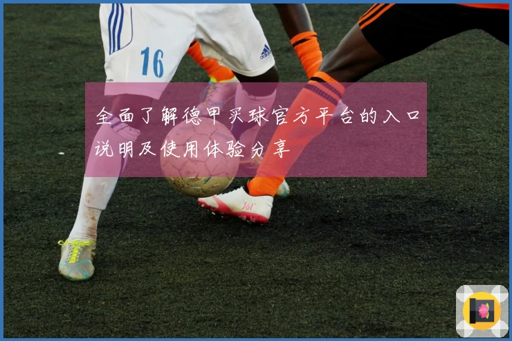 全面了解德甲买球官方平台的入口说明及使用体验分享