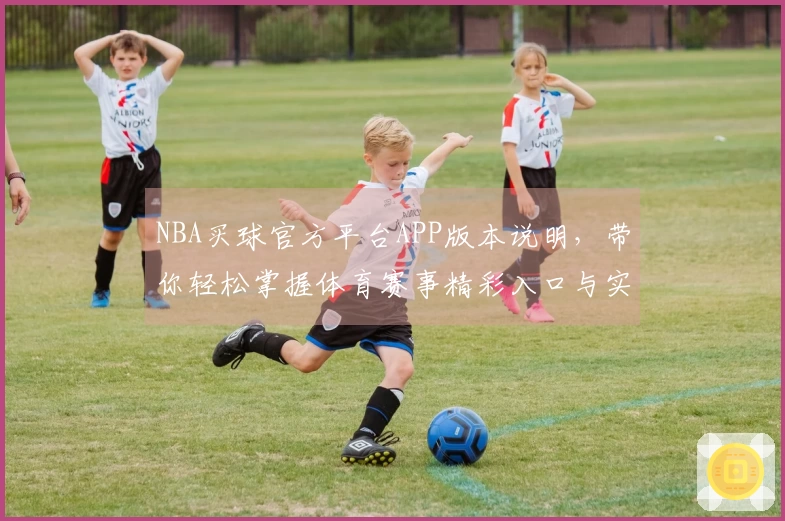NBA买球官方平台APP版本说明，带你轻松掌握体育赛事精彩入口与实用功能