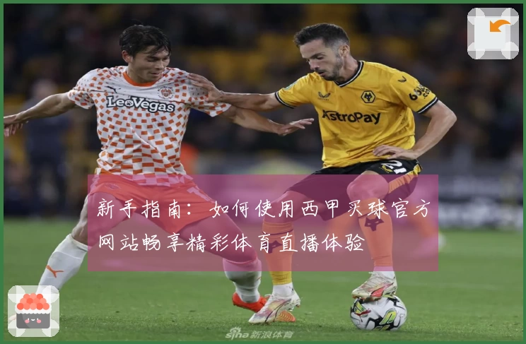 新手指南：如何使用西甲买球官方网站畅享精彩体育直播体验