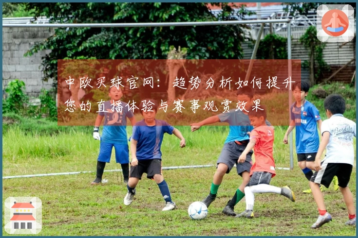 中欧买球官网：趋势分析如何提升您的直播体验与赛事观赏效果