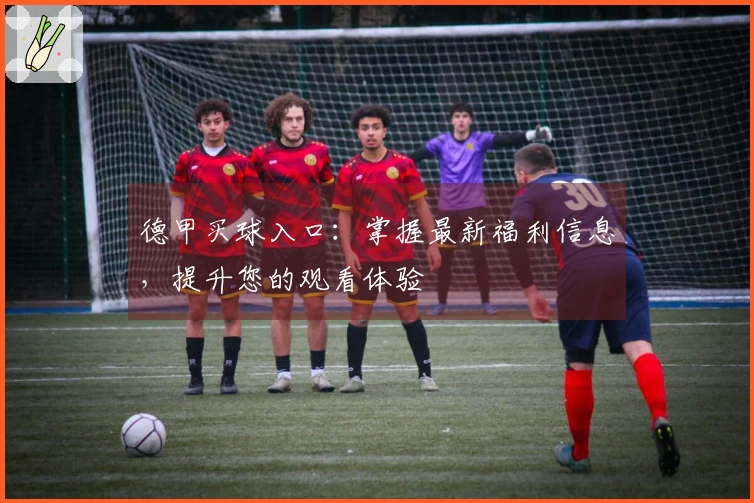 德甲买球入口:掌握最新福利信息,提升您的观看体验
